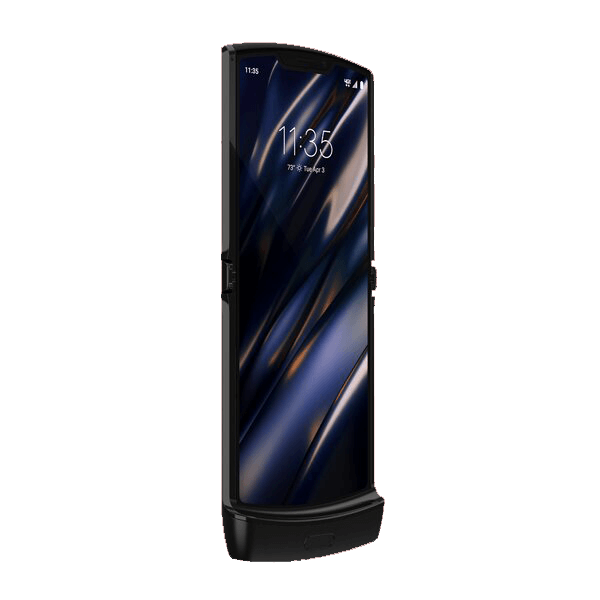 Nunc tempus facilisis - Image 2